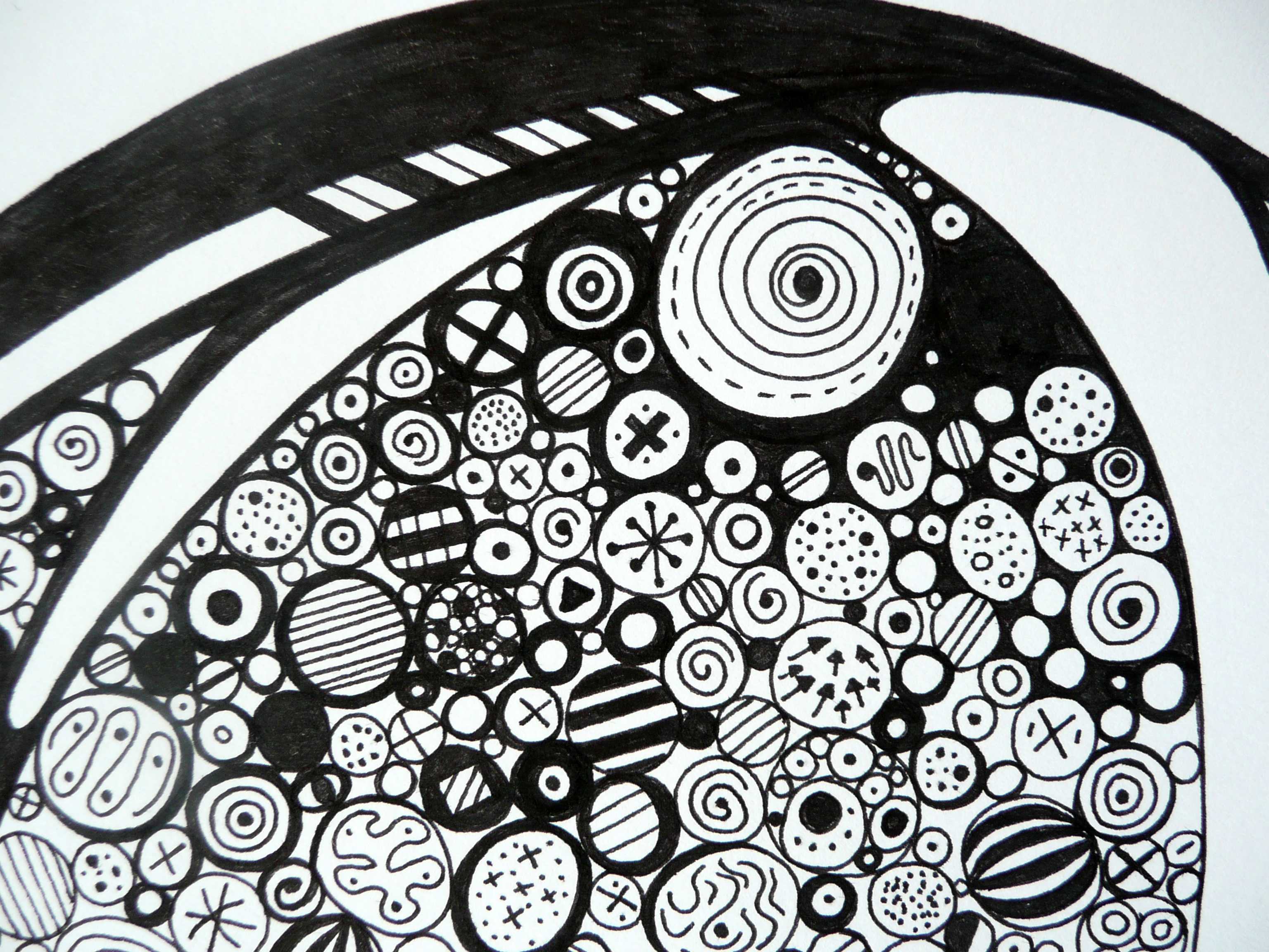 Scribbles / Doodles / Illustrations