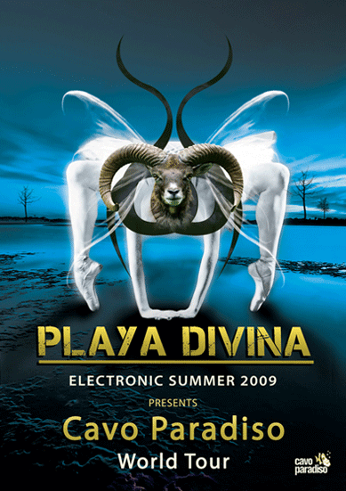 Didi Bjornerud Flyer design