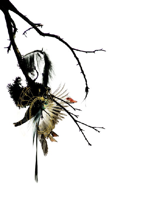 Didi Bjornerud Flyer design