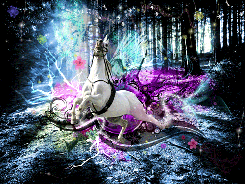 Didi Bjornerud Flyer design