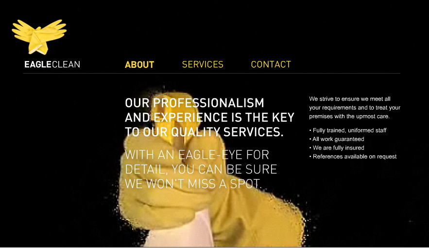  Eagle Clean Website Design