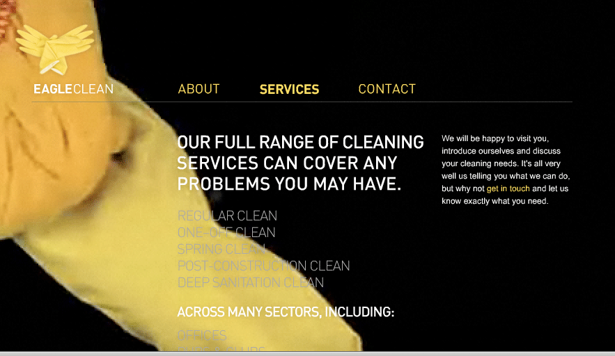  Eagle Clean Website Design