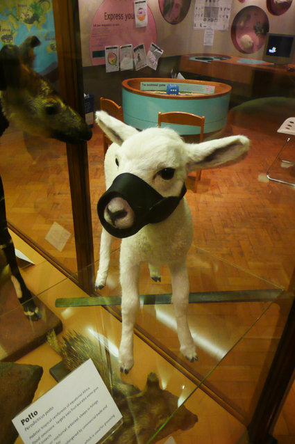 Banksy Bristol Museum Exhibition