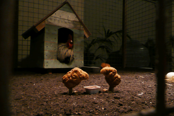 Banksy Bristol Museum Exhibition