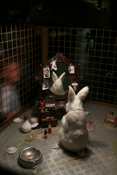 Banksy Bristol Museum Exhibition