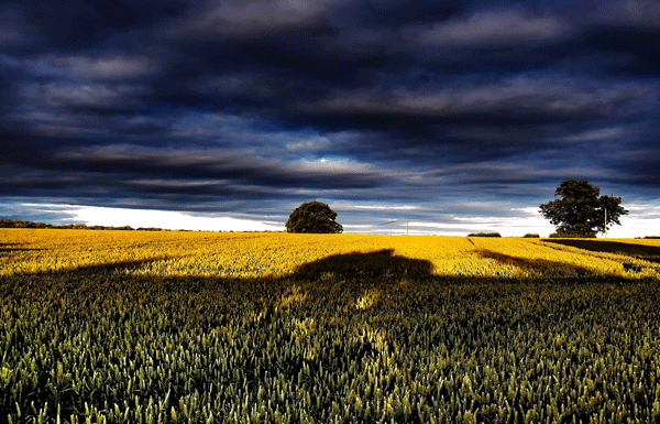 Landscape Belinda McCarthy Photography