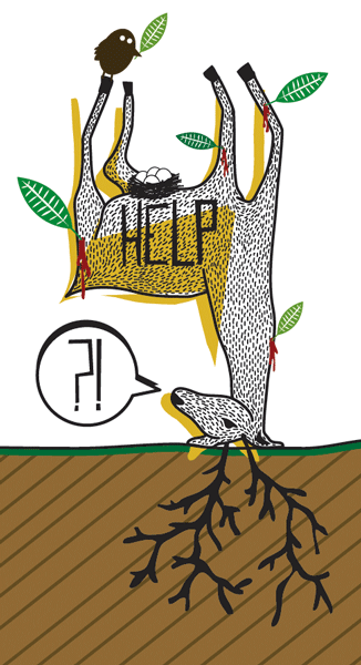 Shaun Gordon illustration