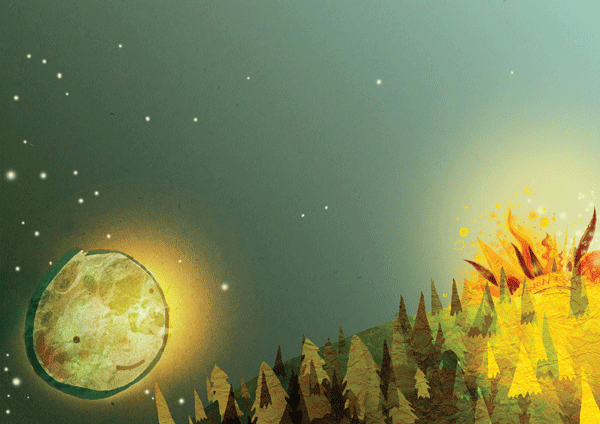 Laura Anderson portfolio