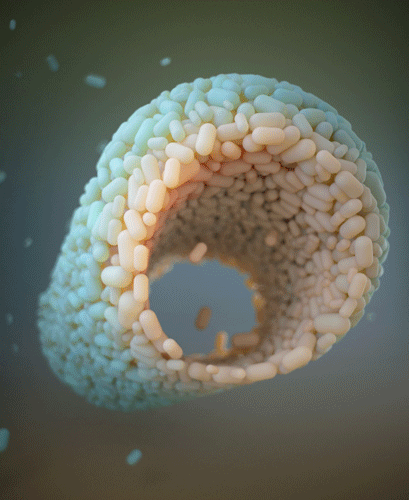 Boolean Taxidermy by Zeitguised